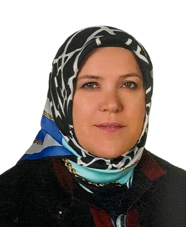 hurmuz-sari